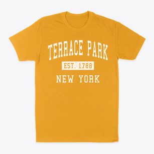 Terrace Park New York Classic Established Classic Dad T-Shirt