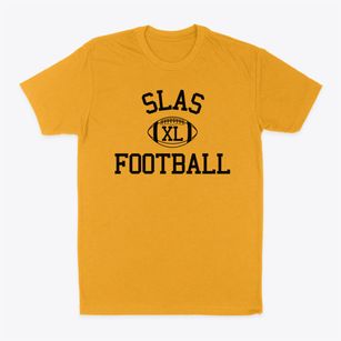 The School Of Liberal Arts And Science Classic Football Classic Dad T-Shirt