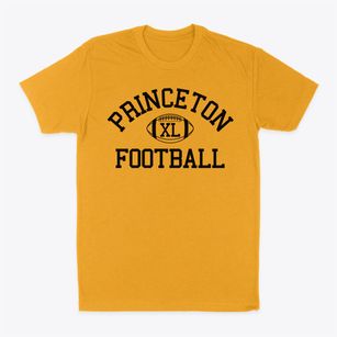Princeton Intermediate School Classic Football Classic Dad T-Shirt