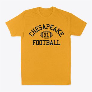 Chesapeake Montessori School Classic Football Classic Dad T-Shirt
