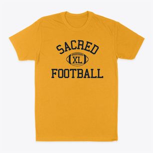 Sacred Heart Cathedral School Classic Football Classic Dad T-Shirt