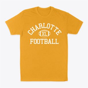 Charlotte Montessorri School #2 Classic Football Classic Dad T-Shirt