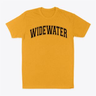 Widewater Elementary School Varsity Arch Classic Dad T-Shirt