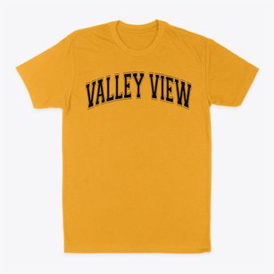Valley View Elementary School Varsity Arch Classic Dad T-Shirt