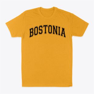 Bostonia Elementary School Varsity Arch Classic Dad T-Shirt