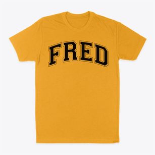Fred Miller Camp School Varsity Arch Classic Dad T-Shirt