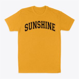 Sunshine Elementary School Varsity Arch Classic Dad T-Shirt