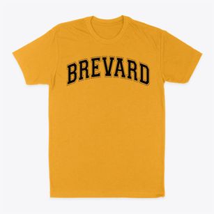 Brevard Homeschool Academy Varsity Arch Classic Dad T-Shirt