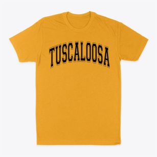 Tuscaloosa Academy Varsity Arch Classic Dad T-Shirt