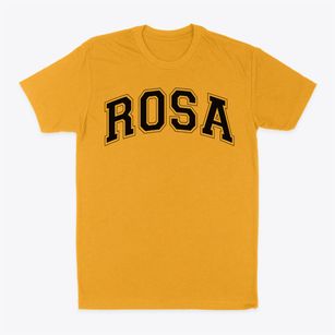Rosa Parks-edison Elementary School Varsity Arch Classic Dad T-Shirt
