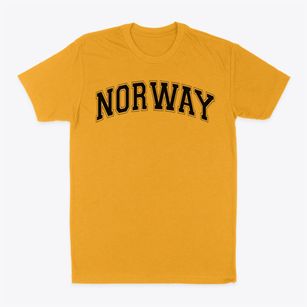 Norway School Varsity Arch Classic Dad T-Shirt