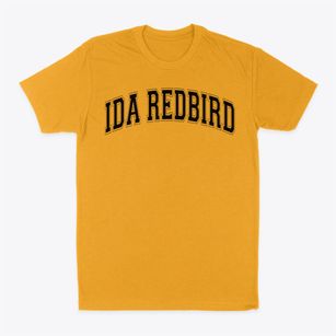 Ida Redbird Elementary School Varsity Arch Classic Dad T-Shirt
