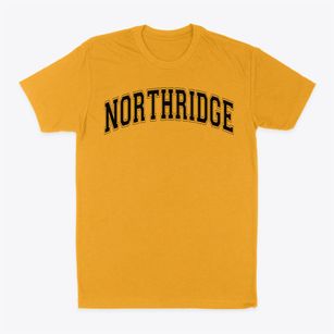 Northridge Elementary School Varsity Arch Classic Dad T-Shirt