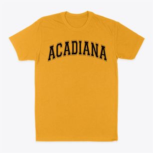 Acadiana Prep Varsity Arch Classic Dad T-Shirt