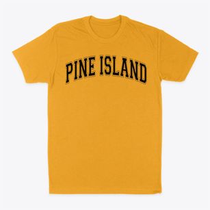 Pine Island Elementary School Varsity Arch Classic Dad T-Shirt