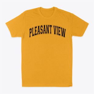 Pleasant View Elementary School Varsity Arch Classic Dad T-Shirt