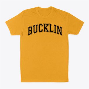 Bucklin R-ii School Varsity Arch Classic Dad T-Shirt