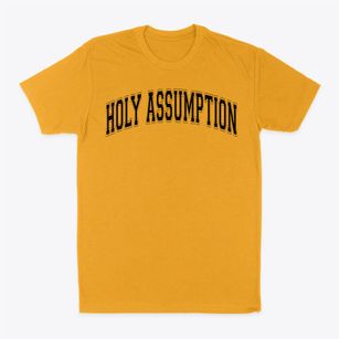 Holy Assumption School Varsity Arch Classic Dad T-Shirt