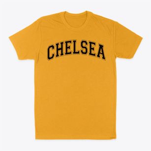 Ps 33 Chelsea Varsity Arch Classic Dad T-Shirt