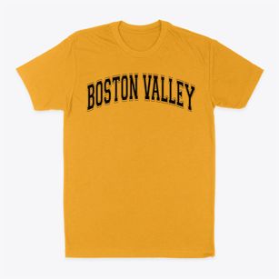 Boston Valley Elementary School Varsity Arch Classic Dad T-Shirt