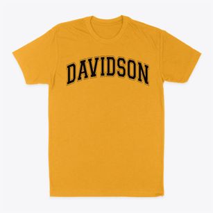 Davidson Alternative School Varsity Arch Classic Dad T-Shirt