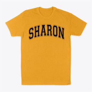 Sharon Elementary School Varsity Arch Classic Dad T-Shirt