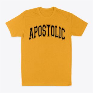 Apostolic Christian Academy Varsity Arch Classic Dad T-Shirt