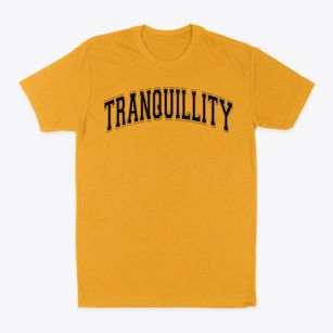Tranquillity Elementary School Varsity Arch Classic Dad T-Shirt