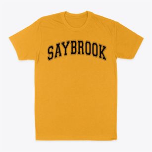 Saybrook Elementary School Varsity Arch Classic Dad T-Shirt