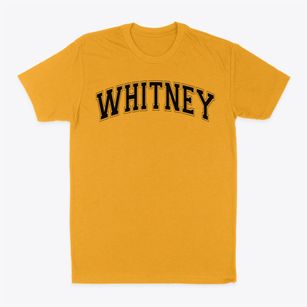 Whitney Elementary School Varsity Arch Classic Dad T-Shirt