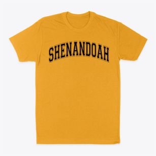 Shenandoah Baptist Academy Varsity Arch Classic Dad T-Shirt