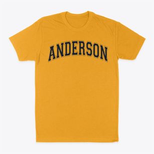Anderson Elementary School Varsity Arch Classic Dad T-Shirt