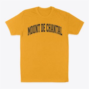 Mount De Chantal Visitation Academy Varsity Arch Classic Dad T-Shirt