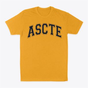 Alabama School Of Cyber Technology And Engineering Varsity Arch Classic Dad T-Shirt