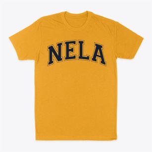 Nela Prep Academy Varsity Arch Classic Dad T-Shirt