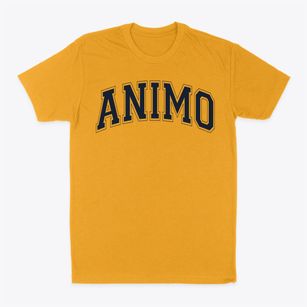 Animo South Los Angeles Varsity Arch Classic Dad T-Shirt