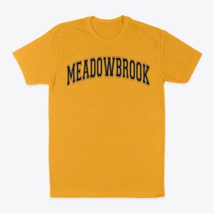 Meadowbrook Academy Varsity Arch Classic Dad T-Shirt
