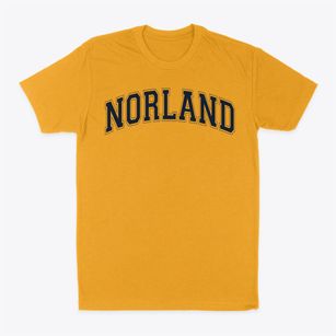 Miami Norland High School Varsity Arch Classic Dad T-Shirt