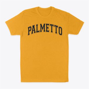 Miami Palmetto High School Varsity Arch Classic Dad T-Shirt