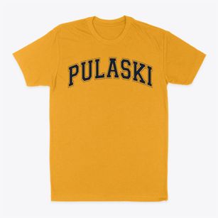 Pulaski Elementary School Varsity Arch Classic Dad T-Shirt