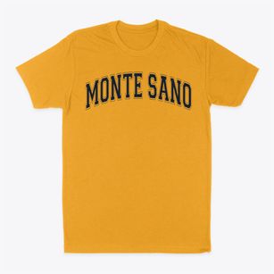 Monte Sano Elementary School Varsity Arch Classic Dad T-Shirt