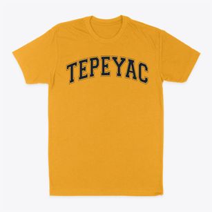 Our Lady Of Tepeyac High School Varsity Arch Classic Dad T-Shirt