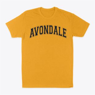 Avondale Elementary School Varsity Arch Classic Dad T-Shirt