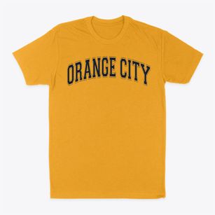 Orange City Elementary School Varsity Arch Classic Dad T-Shirt