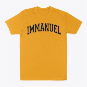 Immanuel Lutheran School Varsity Arch Classic Dad T-Shirt