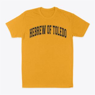 Hebrew Academy Of Toledo Varsity Arch Classic Dad T-Shirt