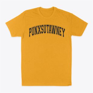 Punxsutawney Christian Elementary School Varsity Arch Classic Dad T-Shirt