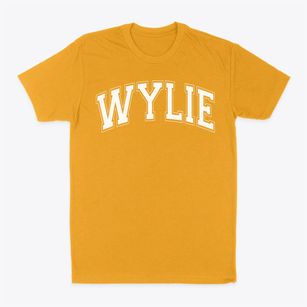 Wylie Middle School Varsity Arch Classic Dad T-Shirt
