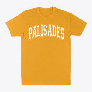 Palisades Christian Academy Varsity Arch Classic Dad T-Shirt