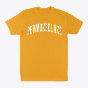Pewaukee Lake Elementary School Varsity Arch Classic Dad T-Shirt